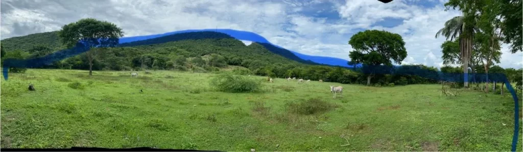 Finca en Venta – Vereda guataquisito