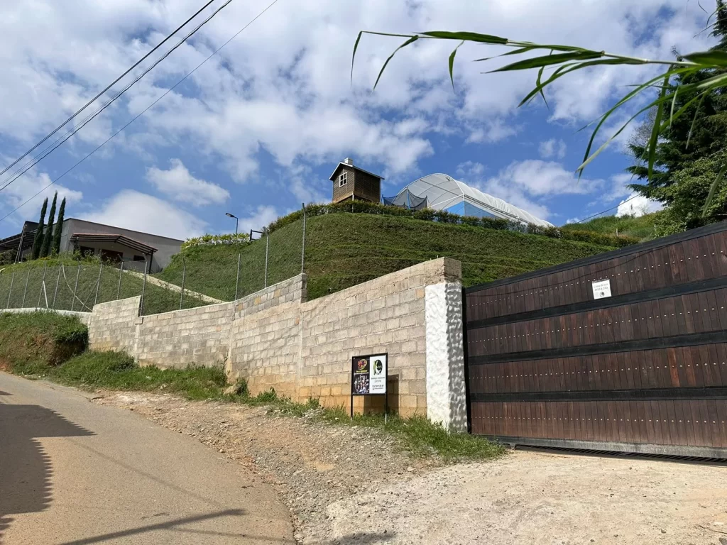 Vereda La Doctora Sabaneta Finca En Venta
